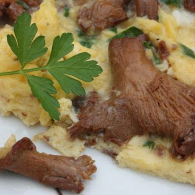 Receta: Tortilla de setas y ajos tiernos