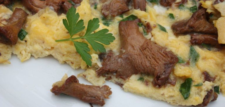 Recepta: Truita de bolets i alls tendres