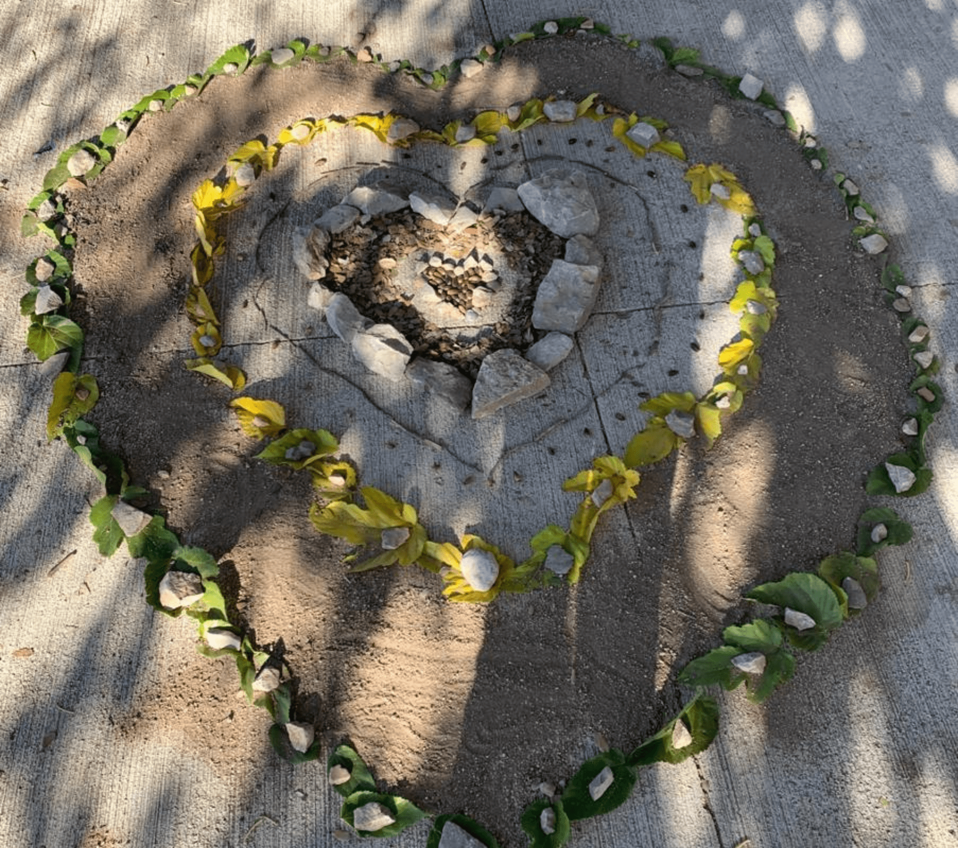 Land Art tardor Fundesplai