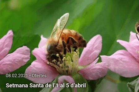 vacances setmana santa casa colònies casa colònies vacances setmana santa