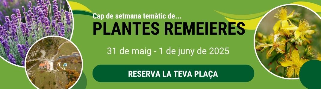 Banner plantes remeieres Fundesplai