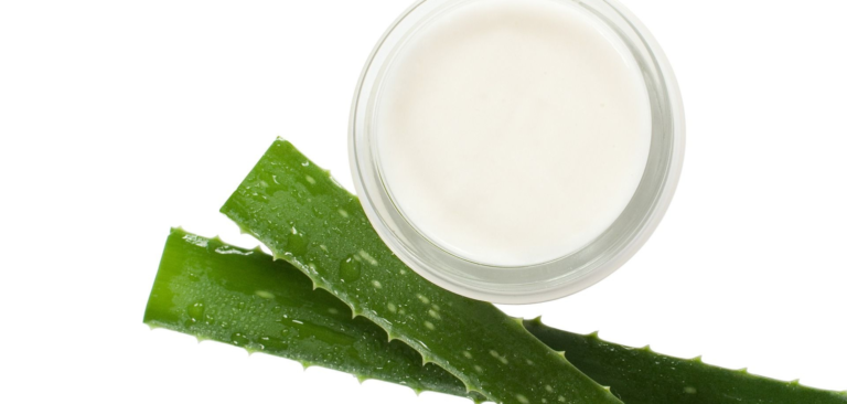 Com fer crema hidratant d’Aloe Vera a casa