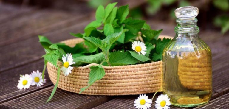 9 Aplicacions per a les plantes medicinals