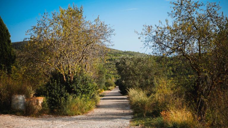 Les millors rutes de senderisme pel Garraf