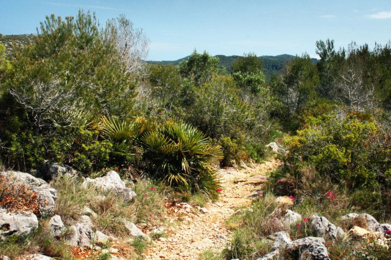 Què té d’especial el paisatge del Garraf?