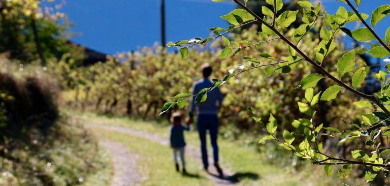 14 Preguntes freqüents sobre les Vacances en família