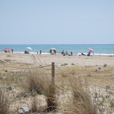 Curiosidades sobre las playas del Delta del Llobregat