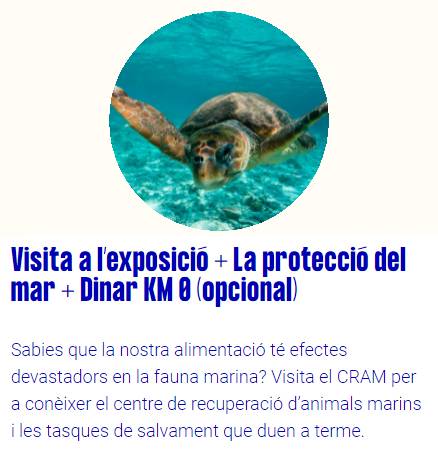 Pack experiència La protecció del mar + dinar KM0