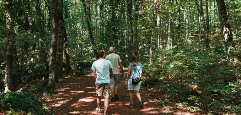 Coneixes els beneficis del contacte amb la natura?