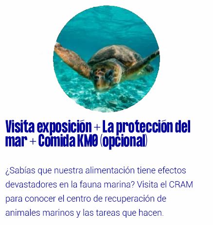 La protección del mar + Comida KM0