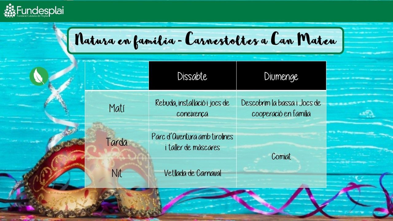 22 - ACTIVITATS-Carnestoltes Can Mateu