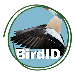 BirdID app
