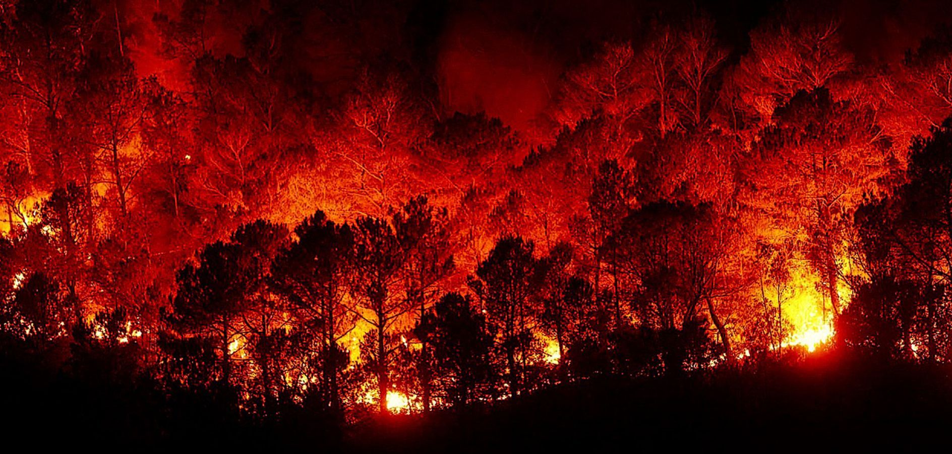 incendios forestales Fundesplai portada