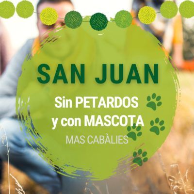 San Juan con tu perro y sin petardos: ¡disfruta de Mas Cabàlies!