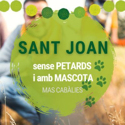 Sant Joan amb el teu gos i sense petards: gaudeix de Mas Cabàlies!