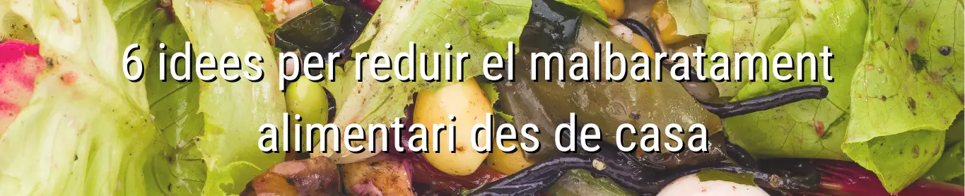 Banner amb títol article: 6 idees per reduir el malbaratament alimentari des de casa