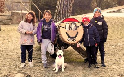 ¡Disfruta el Puente de la Purísima con tu perro!