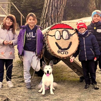 ¡Disfruta el Puente de la Purísima con tu perro!