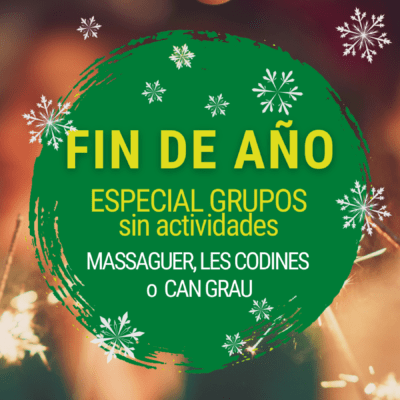 Fin de año especial grupos