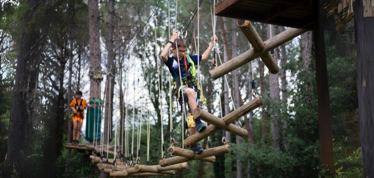 Què és un parc d’aventura als arbres per a infants.?