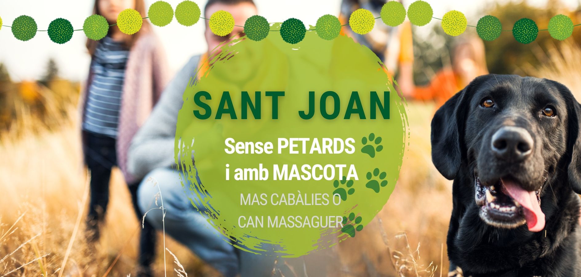 Sant Joan amb el teu gos i sense petards: a Mas Cabàlies i Can Massaguer