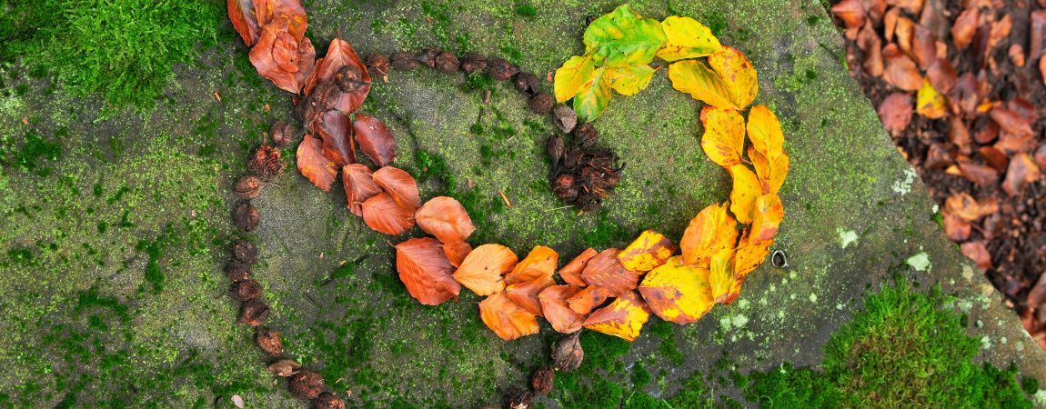 Land art otoño Fundesplai