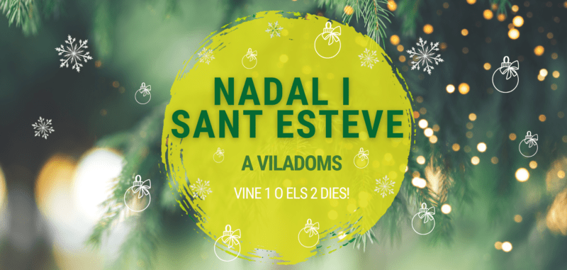 Promo Nadal i Sant Esteve 2024 Fundesplai