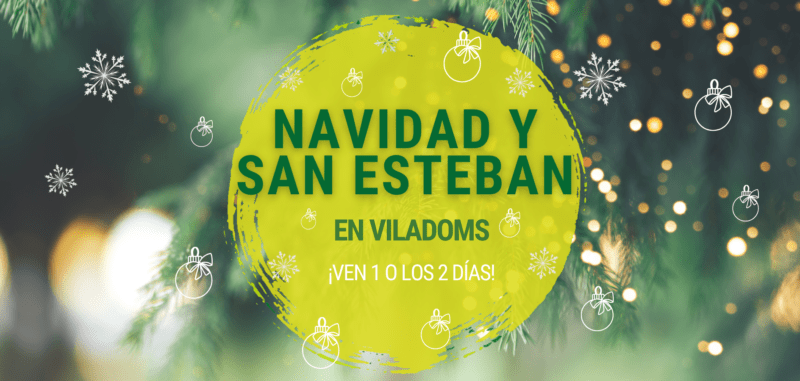 Promo Navidad y San Esteban 2024 Fundesplai