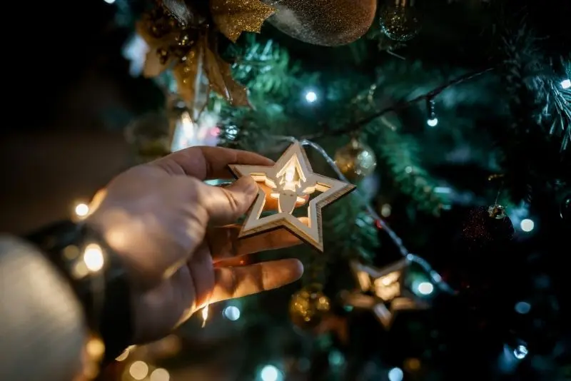 Árbol de Navidad con estrella Fundesplai Albergue Cal Pons con nieve