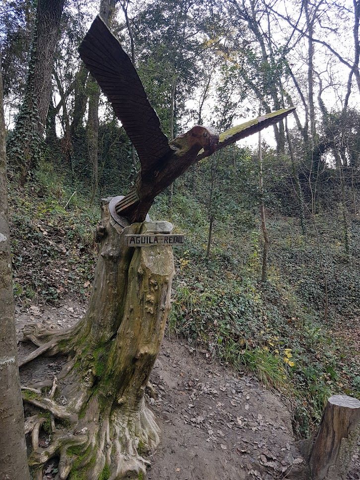 Àguila reial del Bosc Encantat de Gurb