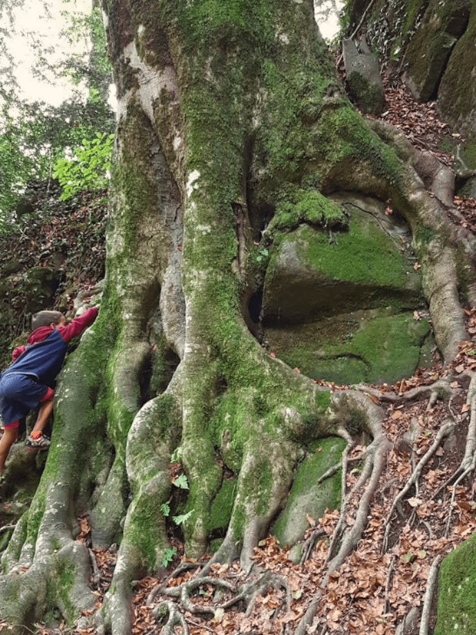 Nena fent un petó a una figura de fusta del Bosc Encantat de Gurb