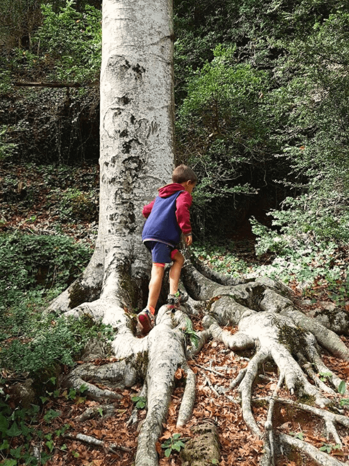 Nena fent un petó a una figura de fusta del Bosc Encantat de Gurb