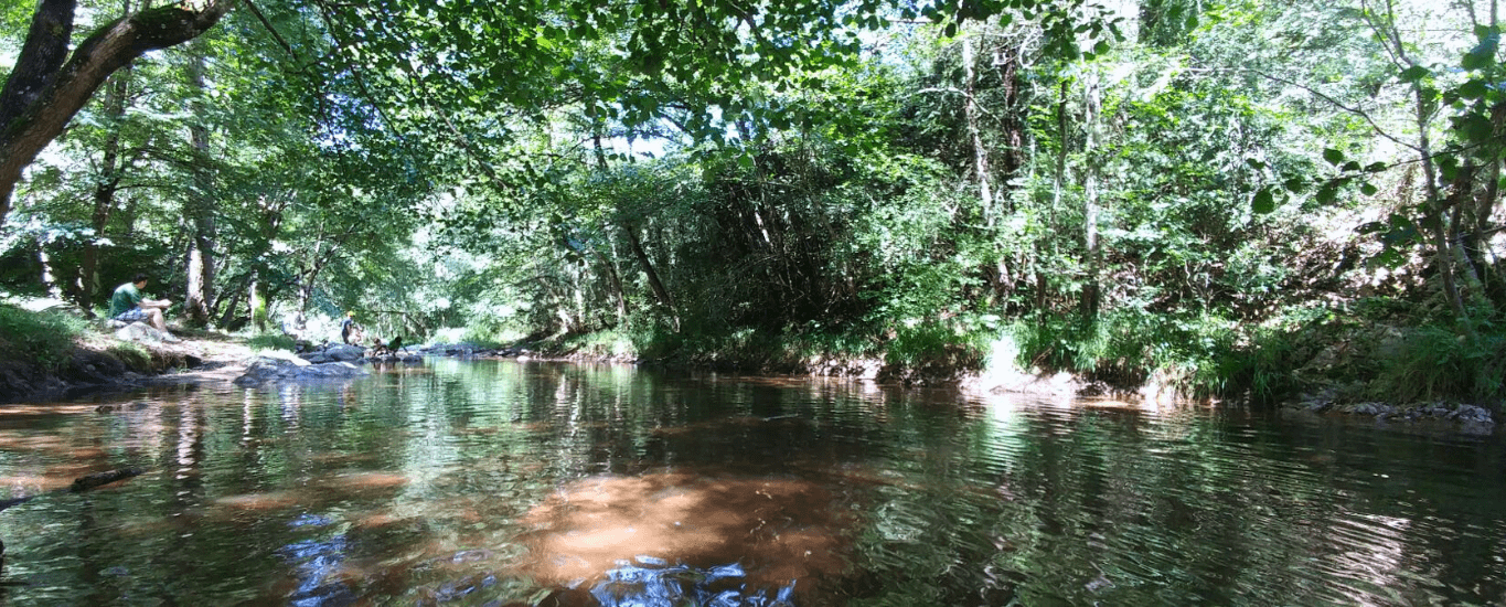 Paisatge riera pont de Malafogassa Fundesplai