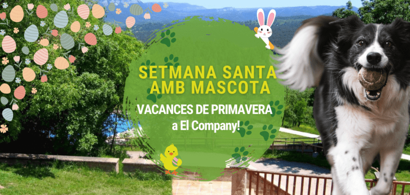 Setmana Santa 2025 amb mascota El Company - CAT