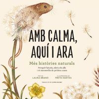 Amb calma, aquí i ara Fundesplai Conte infantil Amb calma, aquí i ara