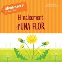 El naixement d'una flor Fundesplai Conte infantil El naixement d'una flor