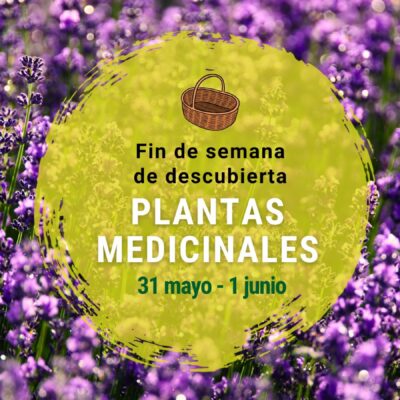 ¡Ven a conocer las plantas medicinales!
