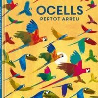 Ocells pertot arreu Fundesplai Conte infantil Ocells pertot arreu
