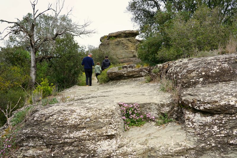 Adulto y niños caminando por rocas en la naturaleza