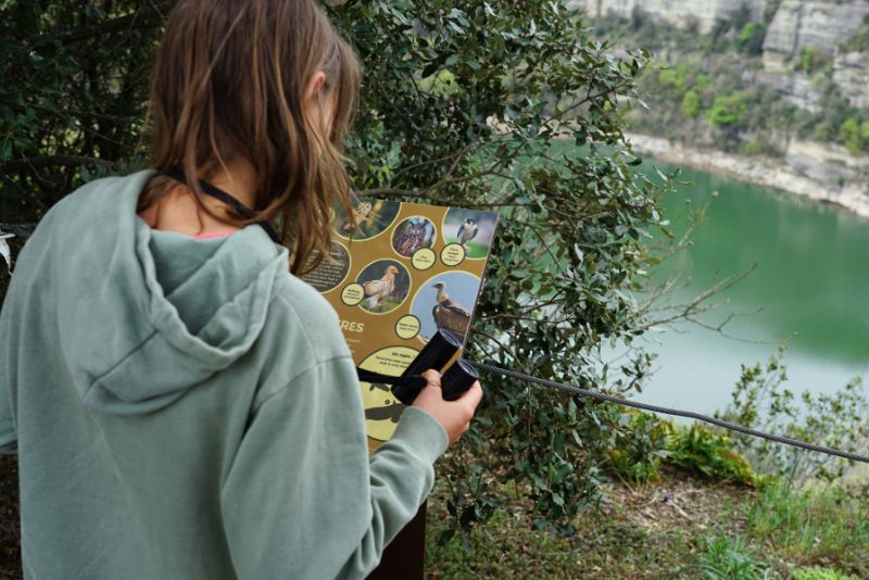 Niña mirando panel informativo fauna Sant Pere de Casserres
