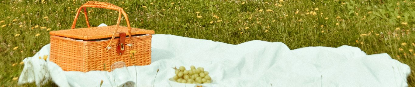 Picnic natura Cistell i estovalles a la natura en un picnic