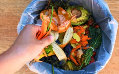 Com reduïm el malbaratament alimentari a les cases de colònies