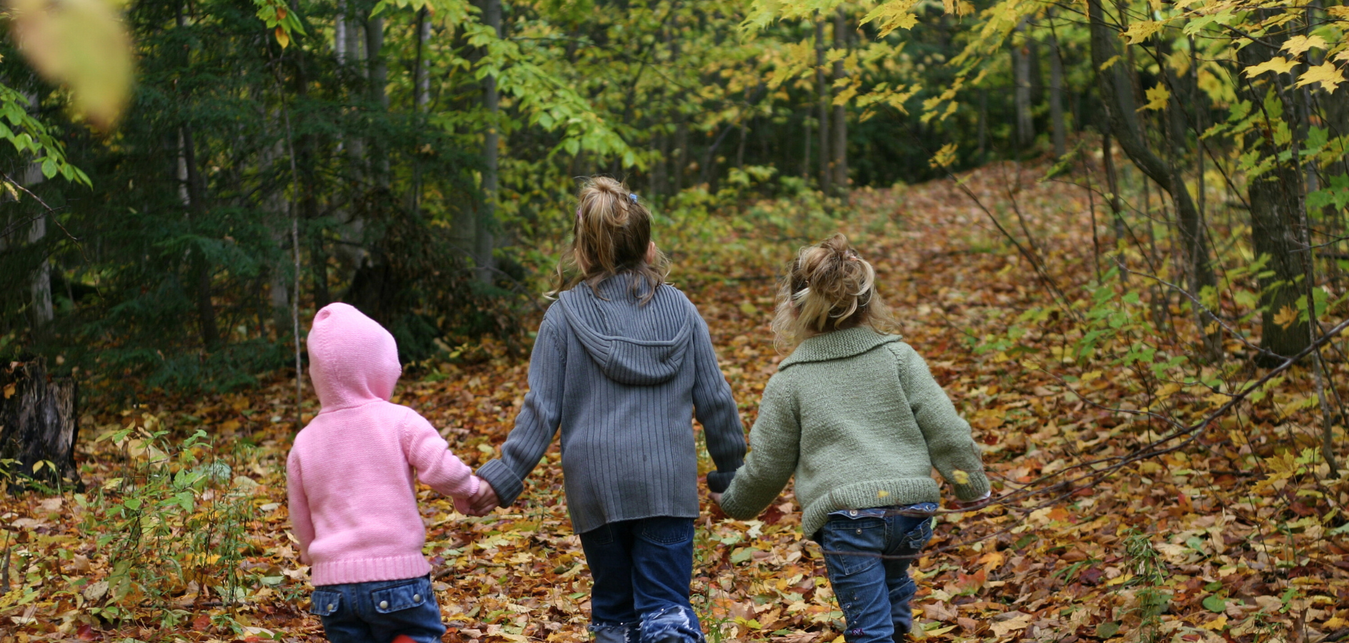 Infants passeig muntanya Fundesplai Tres nenes petites d'esquena entre fulles de tardor al bosc
