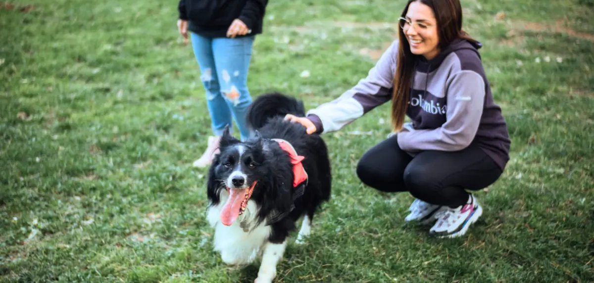 Setmana Santa amb gos a El Company