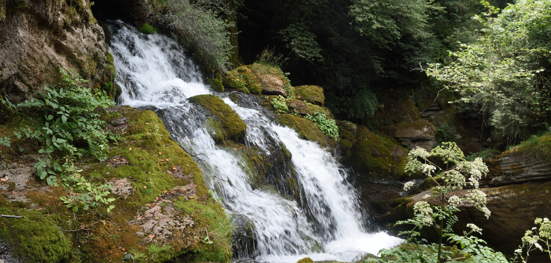 Descobreix les Fonts del Llobregat amb nens i nenes