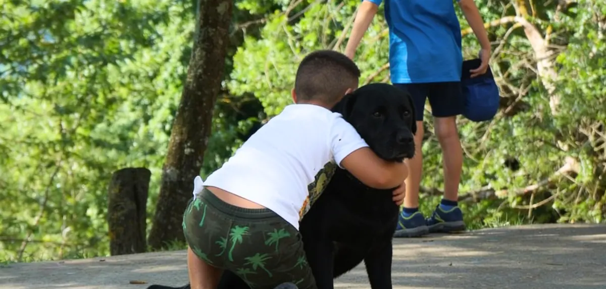 Sant Joan amb gos i sense petards