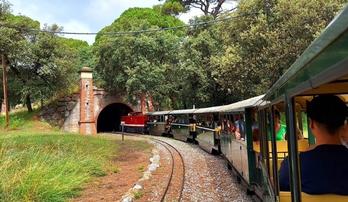 Tren de Palau ple de gent a punt de passar sota un pont