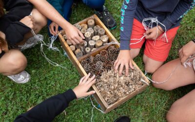 12 curiositats sorprenents de fauna i flora als parcs urbans