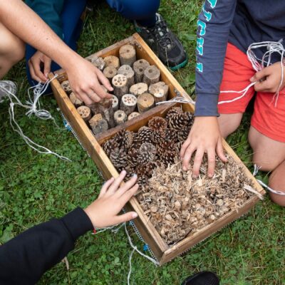 12 curiosidades sorprendentes de fauna y flora en los parques urbanos
