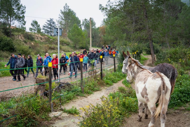 Gent fent una excursió pels Camins de les Matonaires